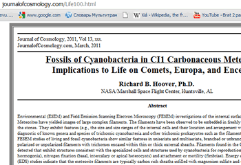 Fossils of Cyanobacteria in CI1 Carbonaceous Meteorites