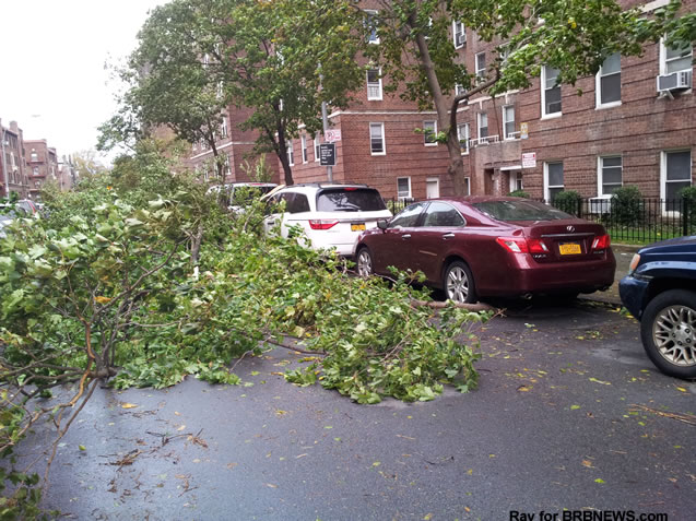 Sandy Storm New York Queens 2012 trees on the stree