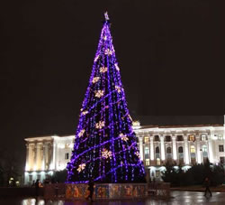 елка в Крыму новогодняя новый год yelka crimea russian new york news 2015