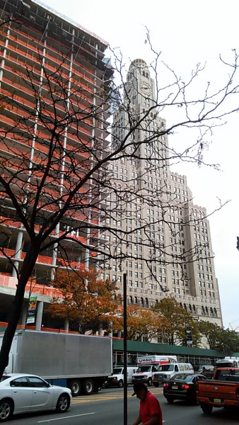 Небоскреб и дерево.Бруклин Нью-Йорк Флэтбуш авеню.