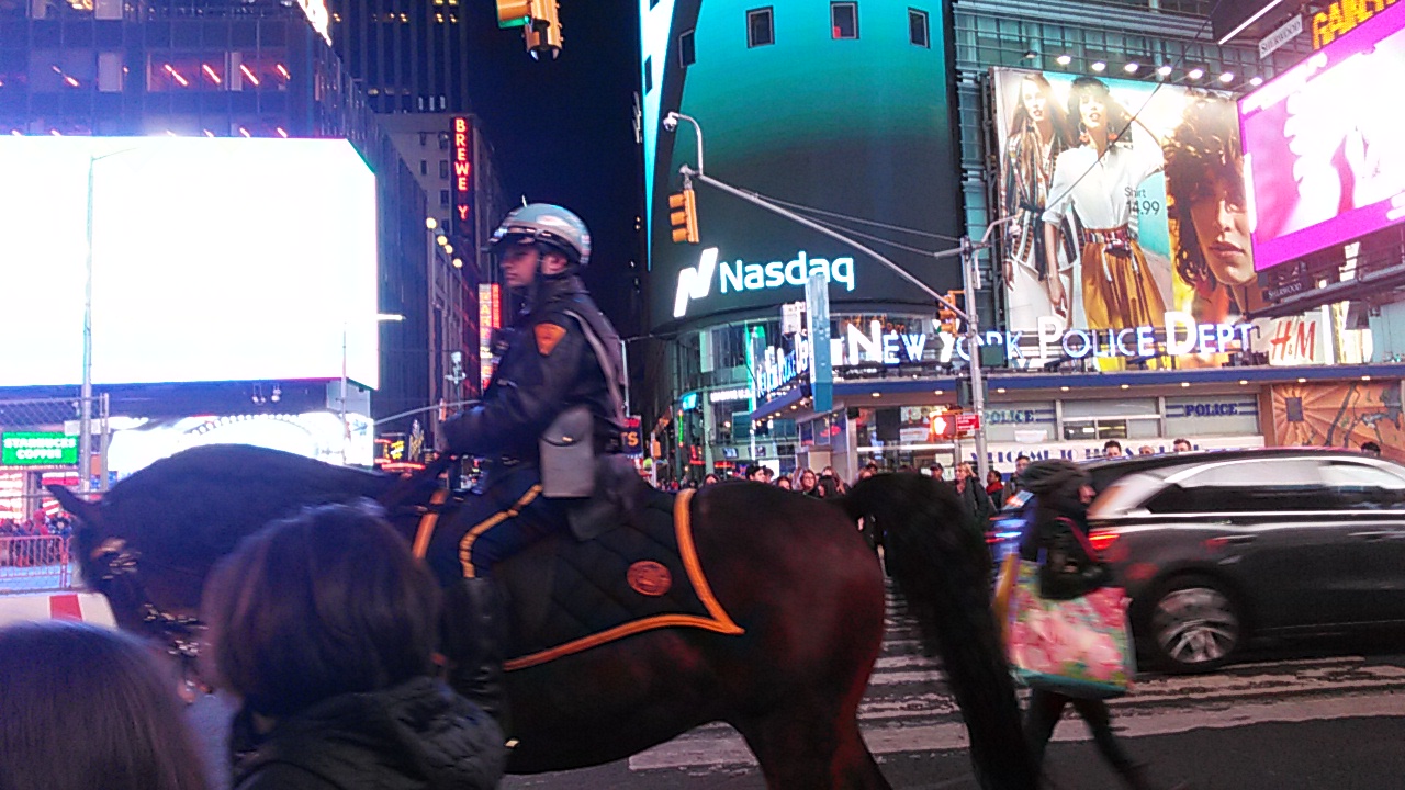 Лошадь а на ней полицейский на Таймс Сквер - фото после окончания митапа в центре Нью-Йорка