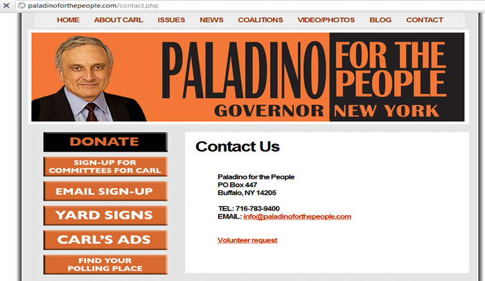 paladino 2010 New York for Governer NY