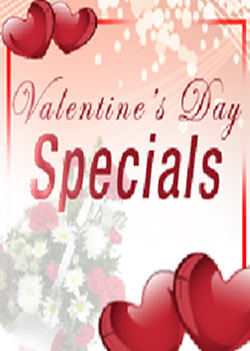 Valentines Day Manhattan NYC Specials
