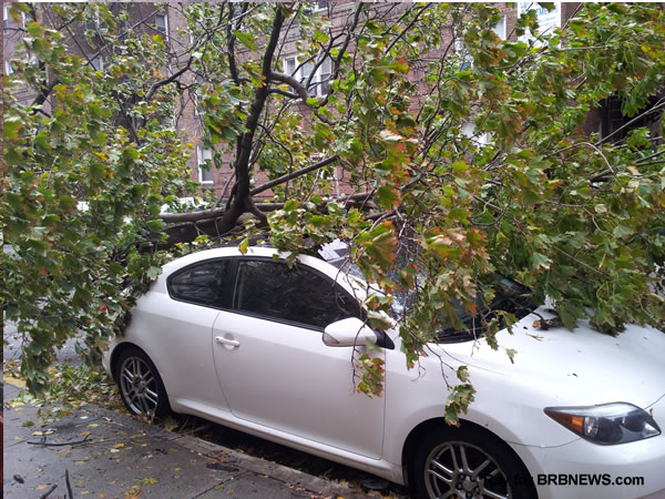 Sandy Storm New York Queens 2012 Cars Broke