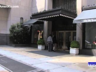 Десятка самых распространненых в США языков. Русский на девятом месте. - news image