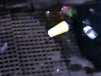 коронавирус метро Нью-Йорка крысы и мусор