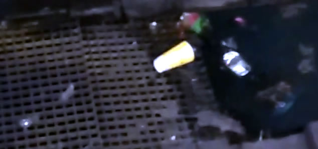 коронавирус метро Нью-Йорка крысы и мусор