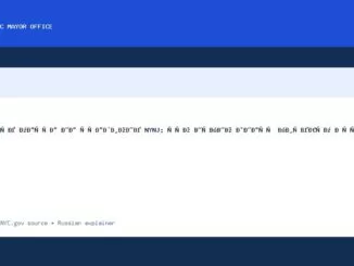 Четыре матча на стадионе NYNJ: что нужно знать жителям Нью-Йорка - NYC Mayor Office official news