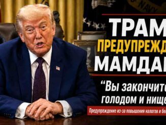 Трамп предупредил Мамдани: повышение налогов может привести Нью-Йорк к голоду, нищете и бегству бизнеса - person in news image