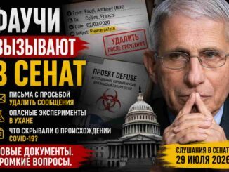 Фаучи снова вызывают в Сенат: новые документы об удалении писем и тайнах происхождения COVID-19 - news image