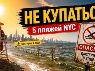 В Нью-Йорке не рекомендуют купаться на пяти пляжах: в воде обнаружен повышенный уровень бактерий - news image
