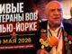 Пока по Брайтонскому бордвоку носили флаги, живые ветераны рассказывали правду о войне - news image