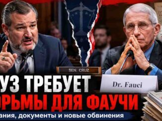 Тед Круз требует тюремного срока для Фаучи: что действительно установлено документами Конгресса - news image