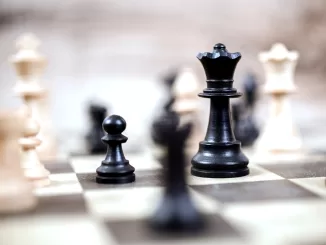 Шахматы для взрослых