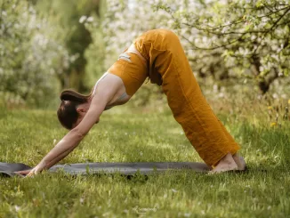 Йога на открытом воздухе с Николь и ShapeUp NYC