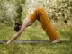 Йога на открытом воздухе с Николь и ShapeUp NYC
