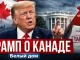 Трамп усиливает давление на Канаду: новые 50% пошлины должны были вступить в силу 22 августа - news image