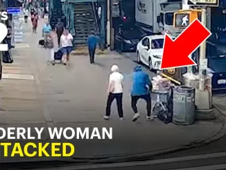 ВИДЕО НАПАДЕНИЯ НА БРАЙТОН БИЧ И ЗАЯВЛЕНИЕ АССЕМЛЕЯ МИХАИЛА НОВАХОВА - news image
